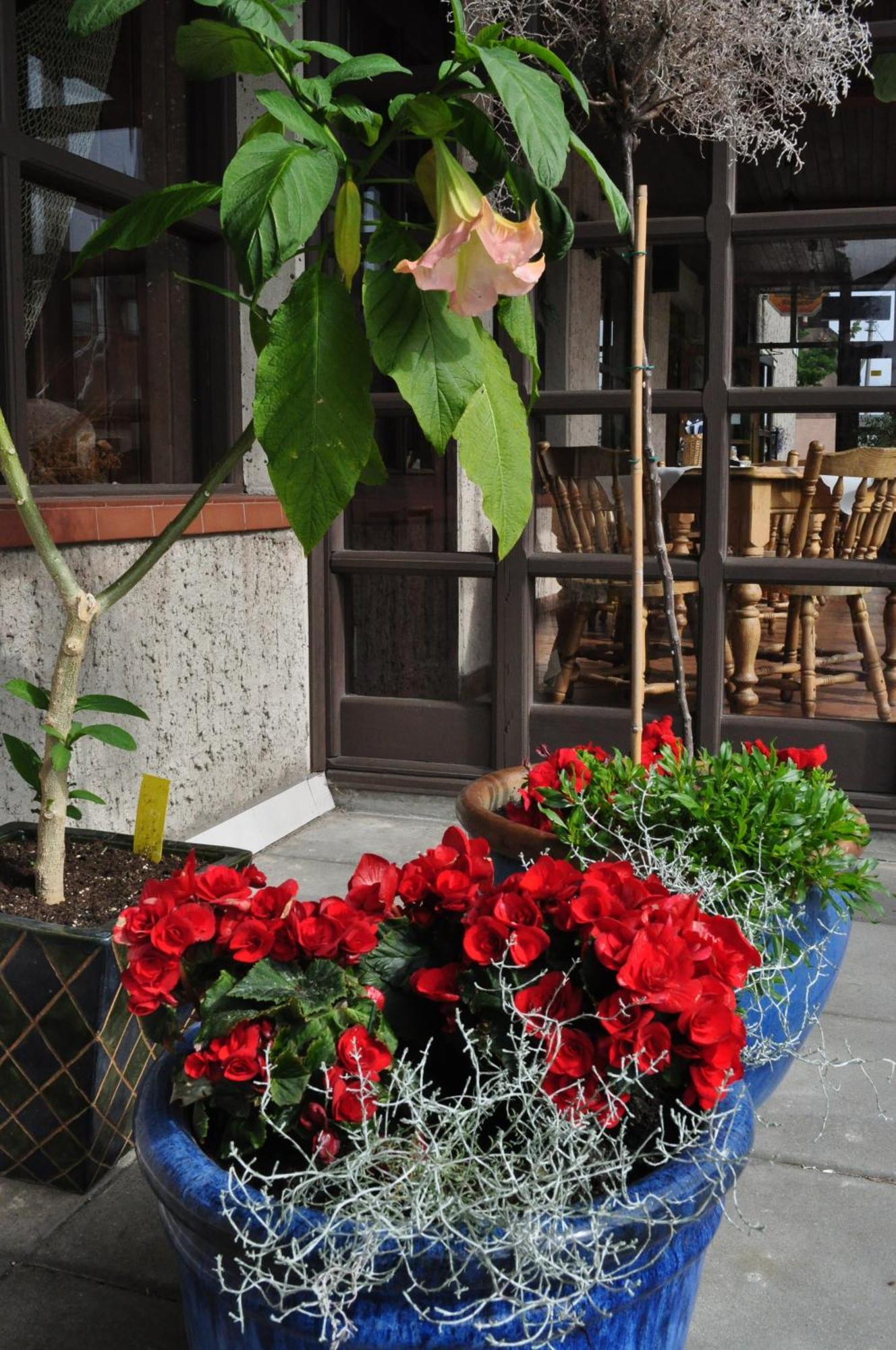 Molo Uzeiga Inn Klaipeda Exterior photo